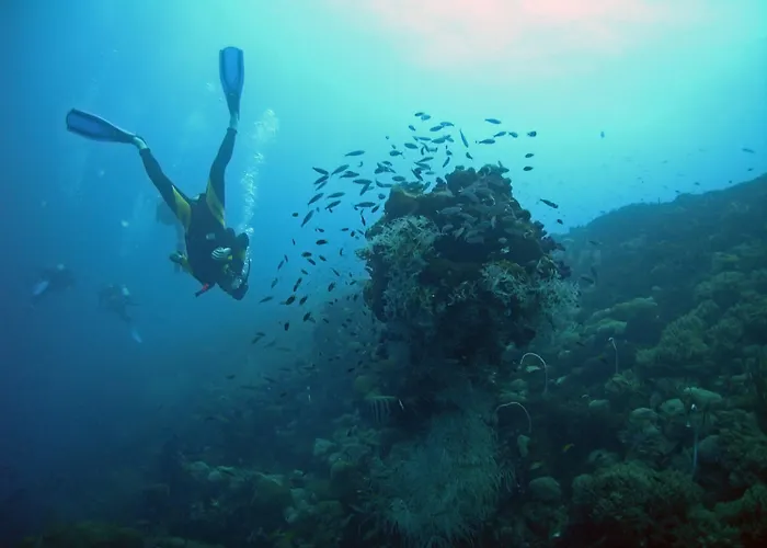 Valamar Meteor Szálloda 4*