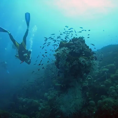 Valamar Meteor מלון 4*